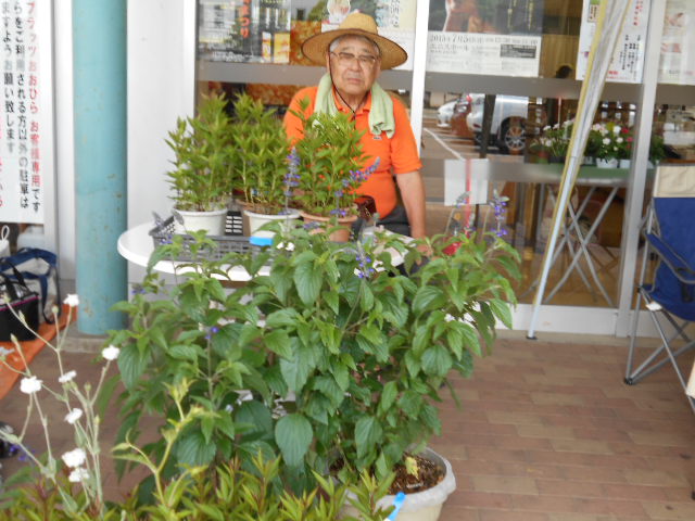 �Ԃǐ^�񒆂̗��ւ�