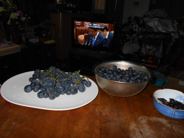 �Ԃǐ^�񒆂̗��ւ�