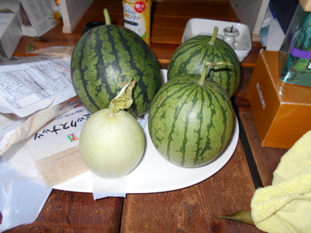 �Ԃǐ^�񒆂̗��ւ�