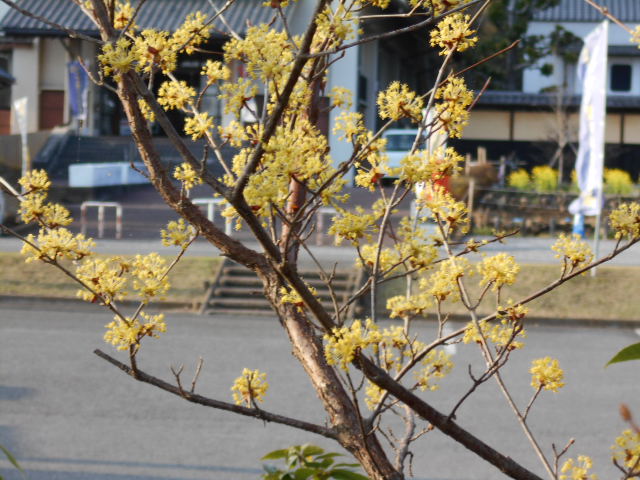 �Ԃǐ^�񒆂̗��ւ�