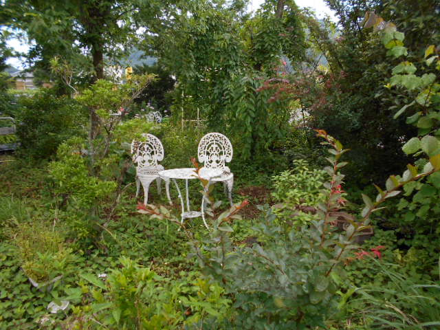 �Ԃǐ^�񒆂̗��ւ�