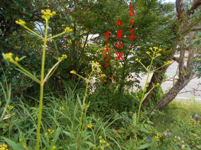 �Ԃǐ^�񒆂̗��ւ�