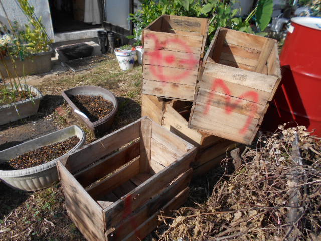 �Ԃǐ^�񒆂̗��ւ�