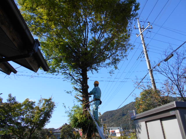 �Ԃǐ^�񒆂̗��ւ�