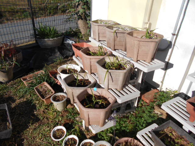 �Ԃǐ^�񒆂̗��ւ�