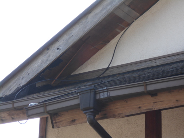 �Ԃǐ^�񒆂̗��ւ�