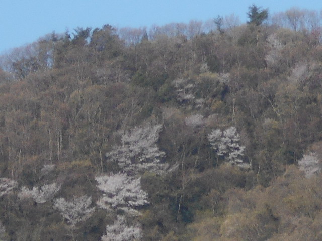 �Ԃǐ^�񒆂̗��ւ�