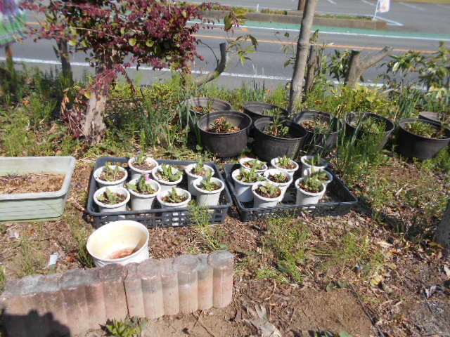 �Ԃǐ^�񒆂̗��ւ�