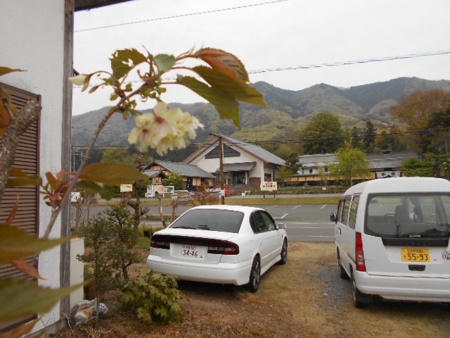 �Ԃǐ^�񒆂̗��ւ�