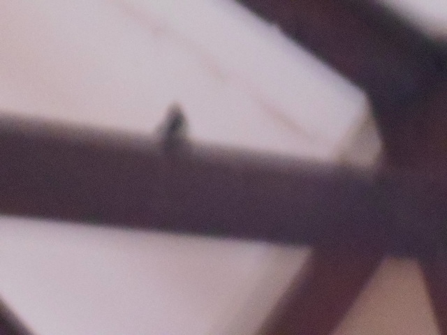 �Ԃǐ^�񒆂̗��ւ�