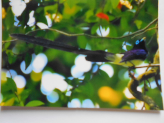 �Ԃǐ^�񒆂̗��ւ�