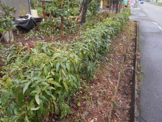 �Ԃǐ^�񒆂̗��ւ�