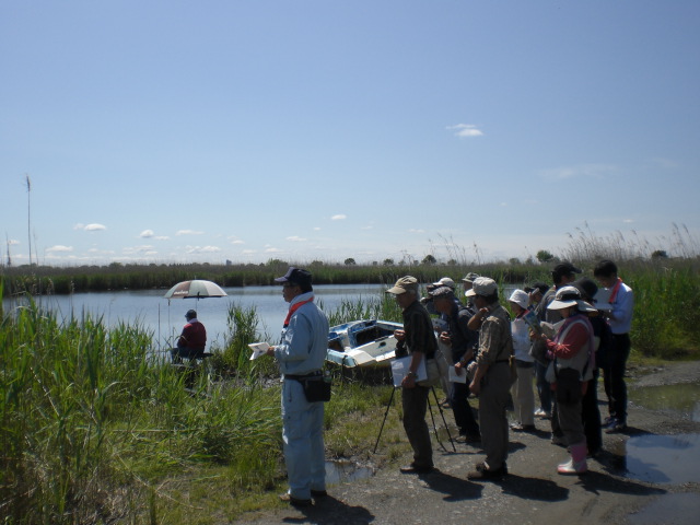 �Ԃǐ^�񒆂̗��ւ�