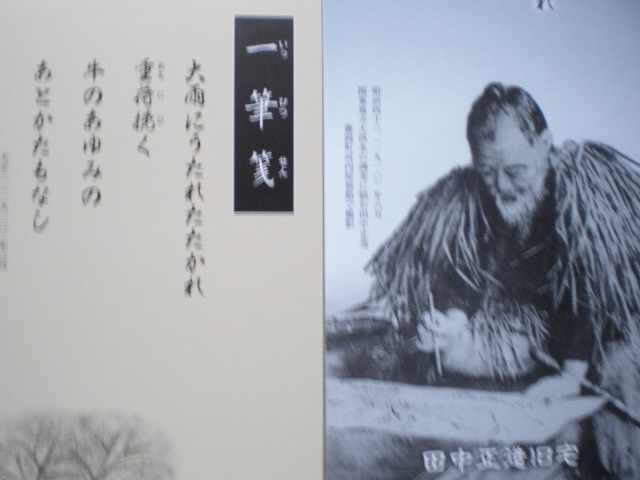 �Ԃǐ^�񒆂̗��ւ�