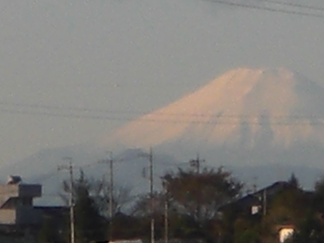 �Ԃǐ^�񒆂̗��ւ�