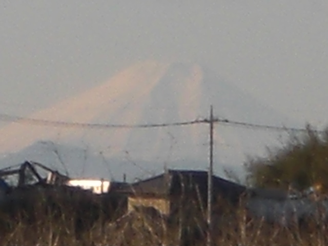 �Ԃǐ^�񒆂̗��ւ�