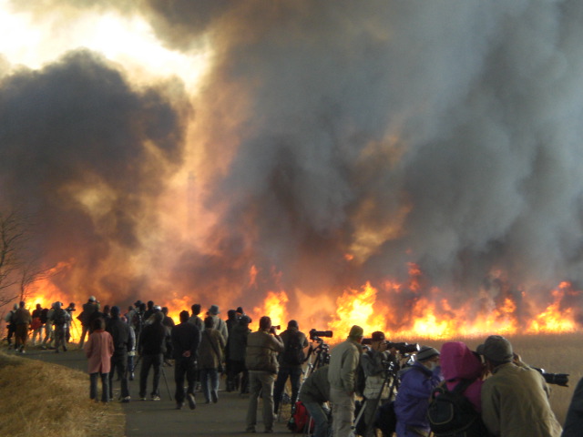 �Ԃǐ^�񒆂̗��ւ�