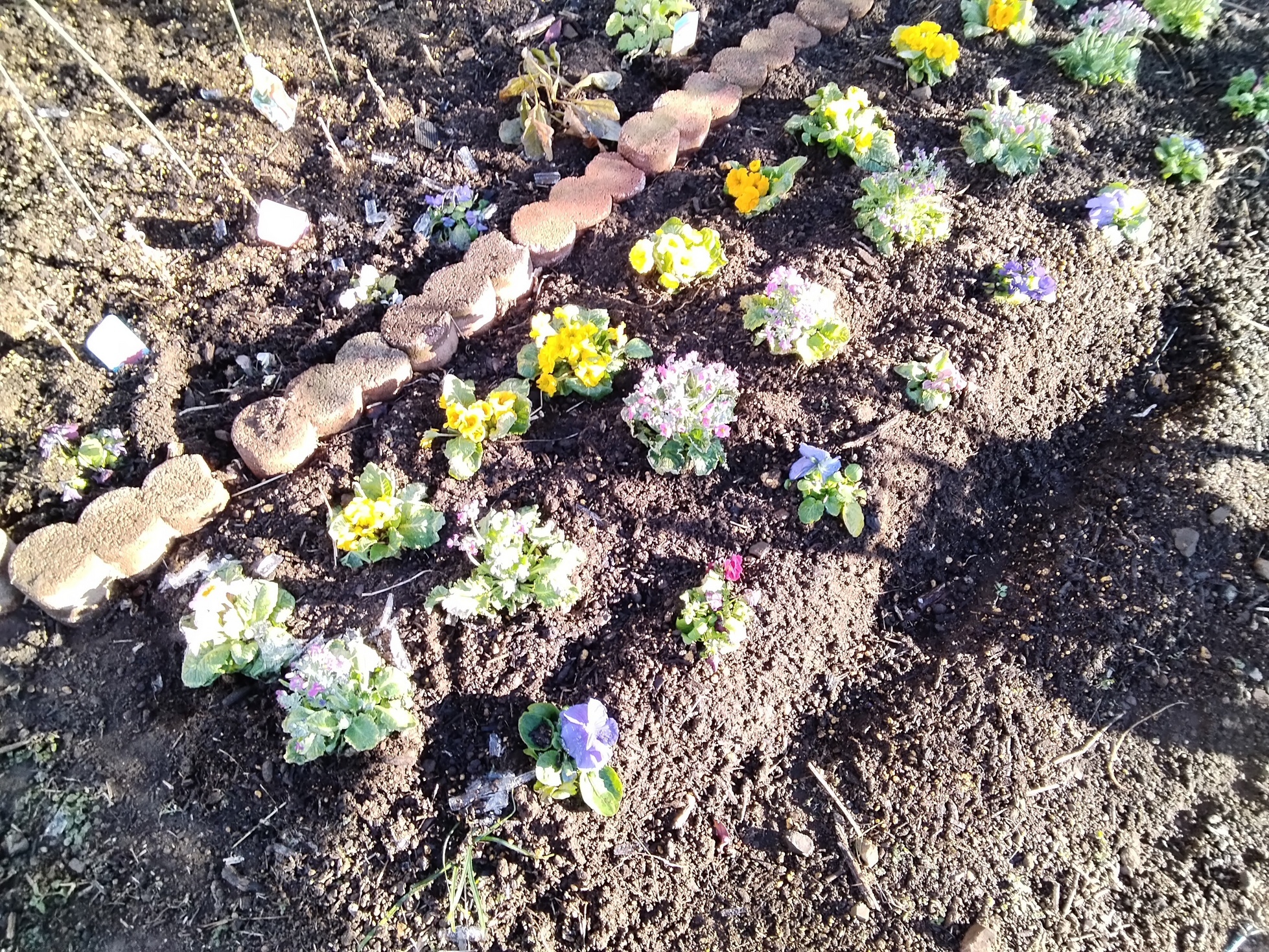 �}�C�K�[�f���i�Ԃǐ^�񒆂̗��ւ�j