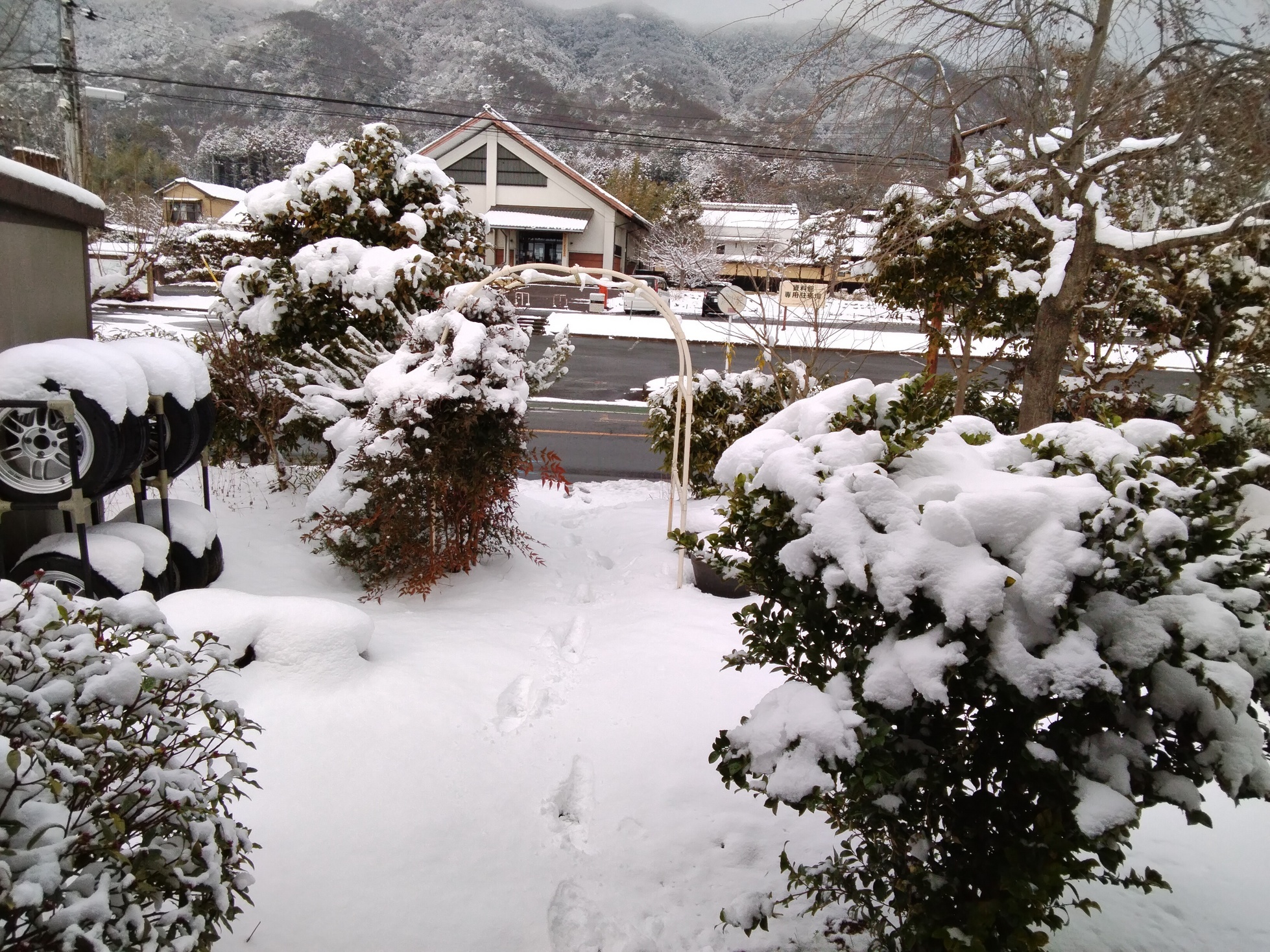 �Ԃǐ^�񒆂̗��ւ�