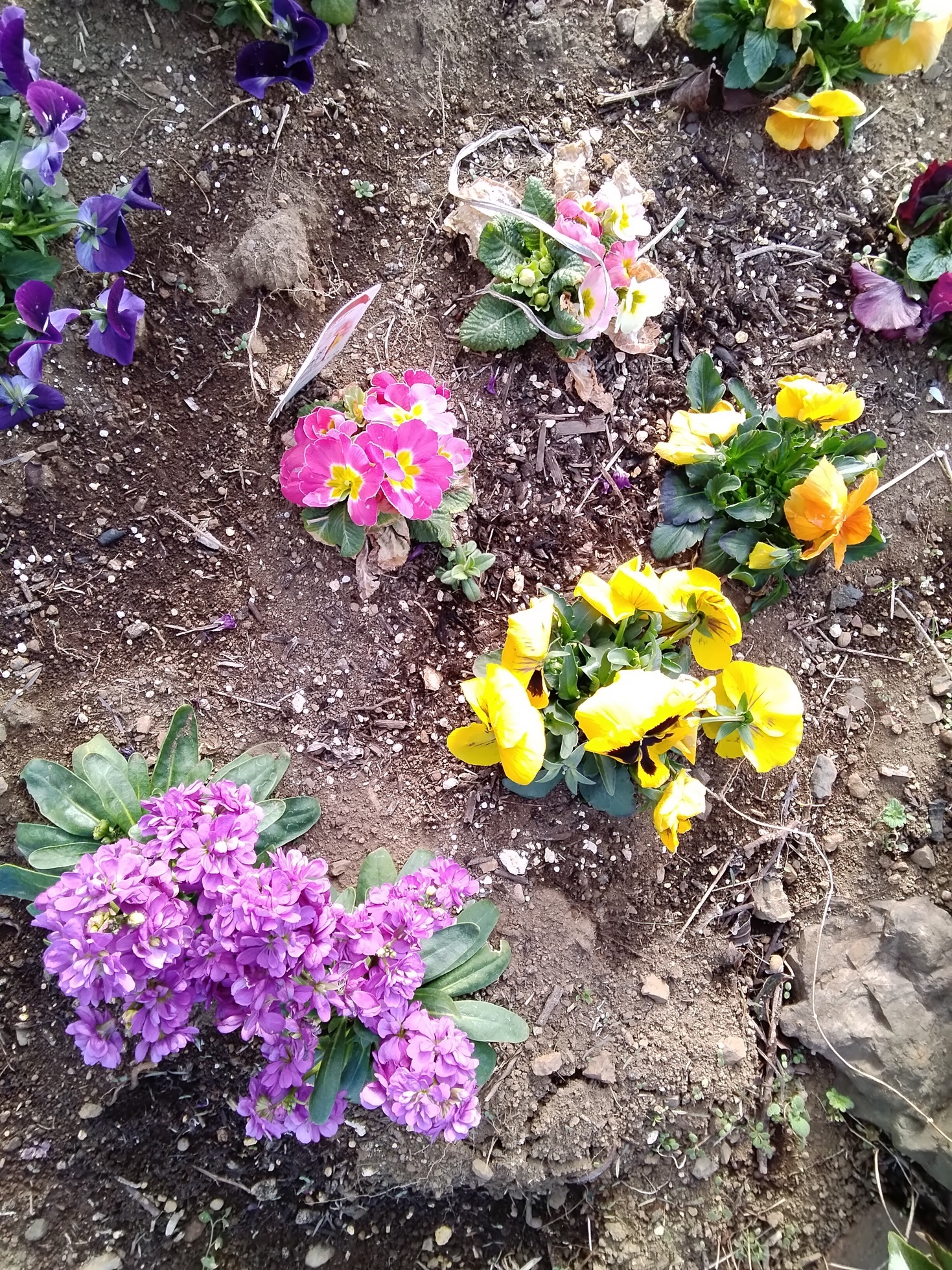 �t���@�����@�i�Ԃǐ^�񒆂̗��ւ�j