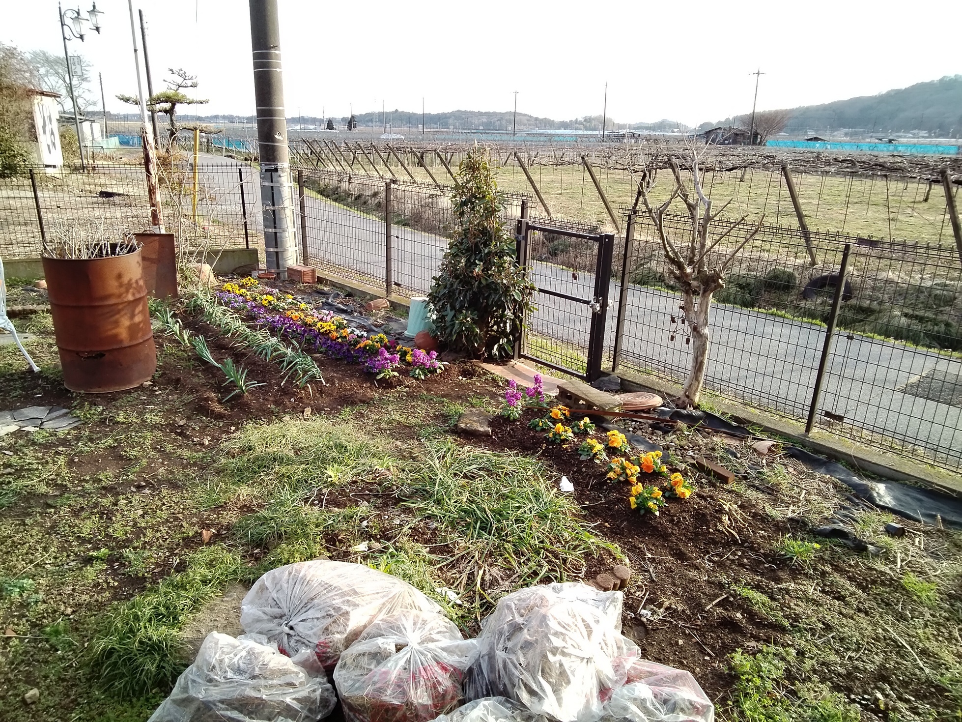 ����t�̑����i�Ԃǐ^�񒆂̗��ւ�j