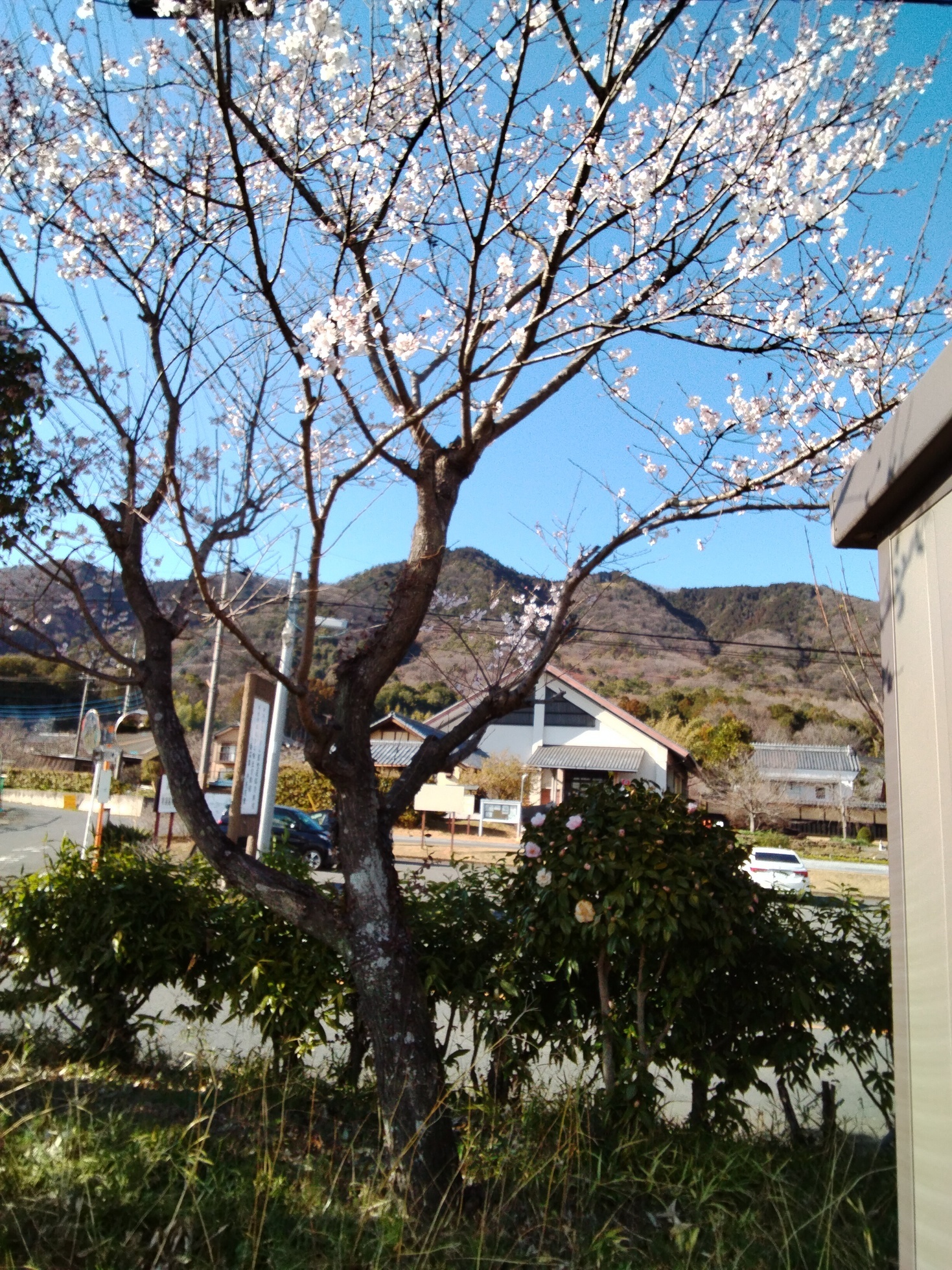 �Ԃǐ^�񒆂̗��ւ�