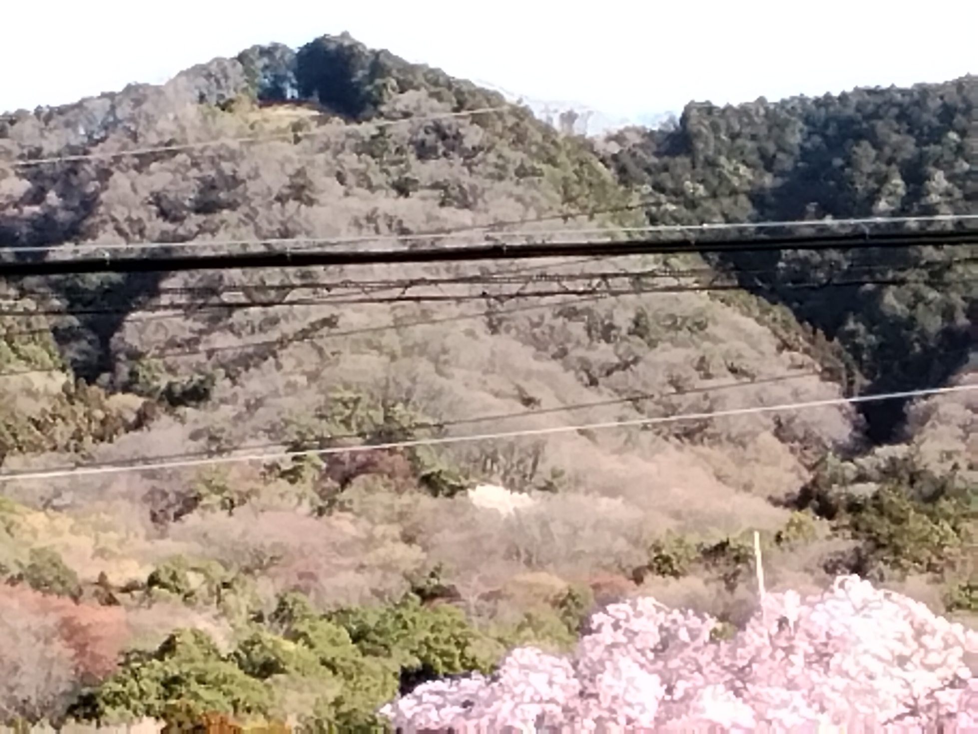 �Ԃǐ^�񒆂̗��ւ�