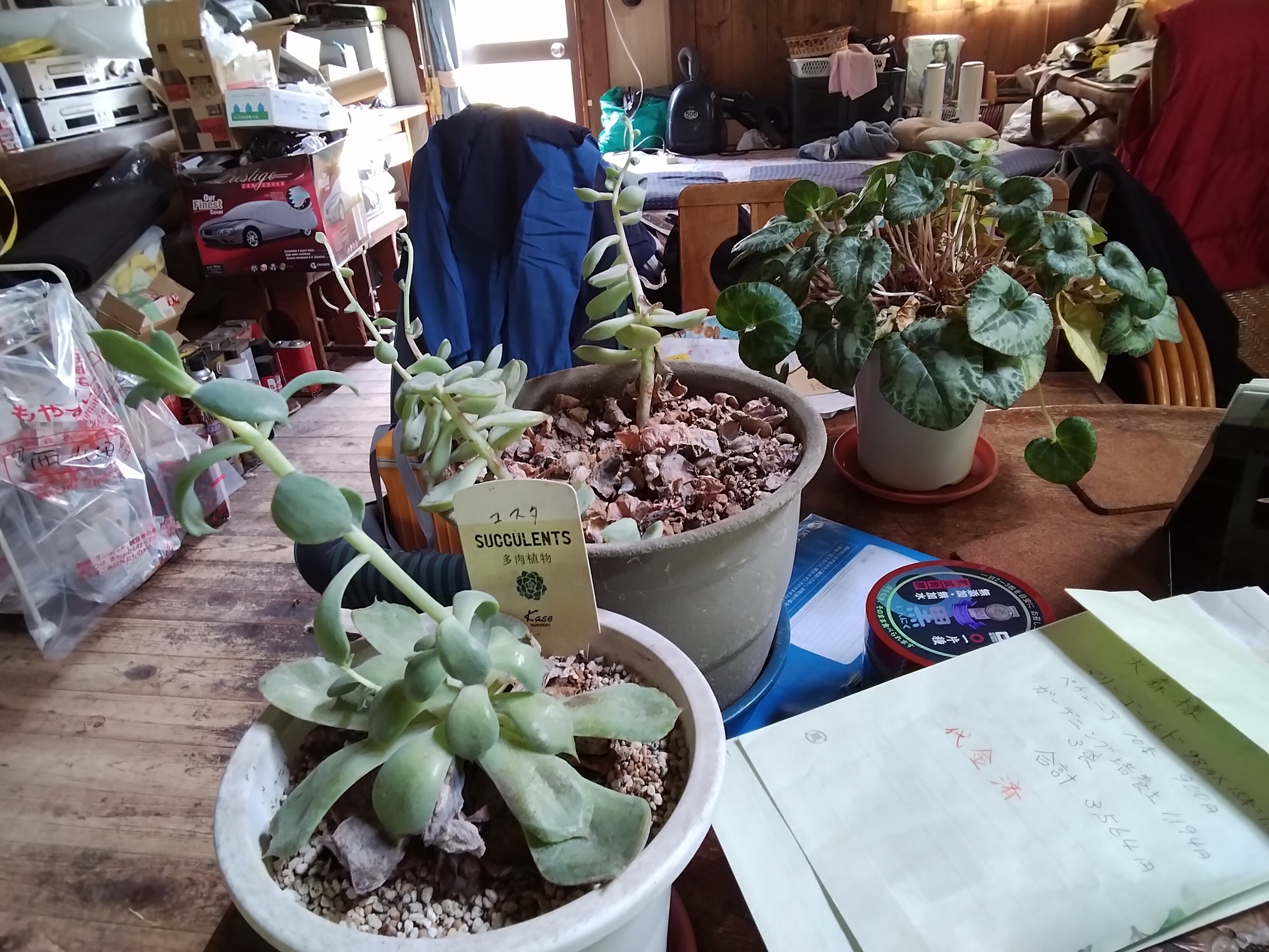 �Ԃǐ^�񒆂̗��ւ�