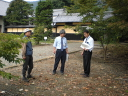 �Ԃǐ^�񒆂̗��ւ�