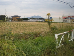 �Ԃǐ^�񒆂̗��ւ�