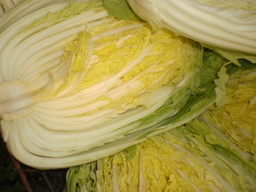 �Ԃǐ^�񒆂̗��ւ�