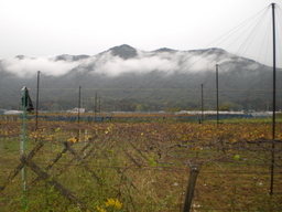 �Ԃǐ^�񒆂̗��ւ�