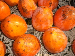 �Ԃǐ^�񒆂̗��ւ�