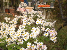 �Ԃǐ^�񒆂̗��ւ�