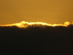 �Ԃǐ^�񒆂̗��ւ�