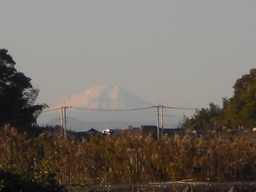 �Ԃǐ^�񒆂̗��ւ�