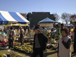 �Ԃǐ^�񒆂̗��ւ�