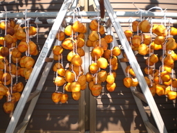 �Ԃǐ^�񒆂̗��ւ�