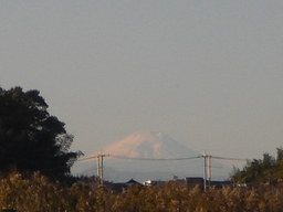 �Ԃǐ^�񒆂̗��ւ�