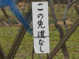 �Ԃǐ^�񒆂̗��ւ�