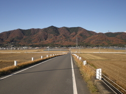 �Ԃǐ^�񒆂̗��ւ�