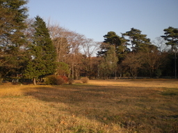 �Ԃǐ^�񒆂̗��ւ�