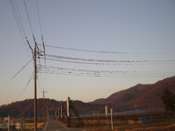 �Ԃǐ^�񒆂̗��ւ�