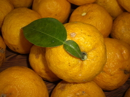 �Ԃǐ^�񒆂̗��ւ�