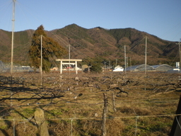 �Ԃǐ^�񒆂̗��ւ�