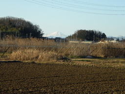 �Ԃǐ^�񒆂̗��ւ�