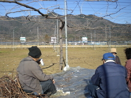 �Ԃǐ^�񒆂̗��ւ�