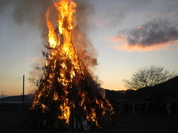 �Ԃǐ^�񒆂̗��ւ�