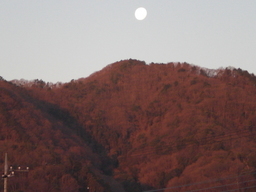 �Ԃǐ^�񒆂̗��ւ�