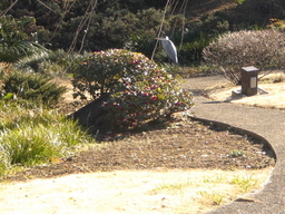 �Ԃǐ^�񒆂̗��ւ�